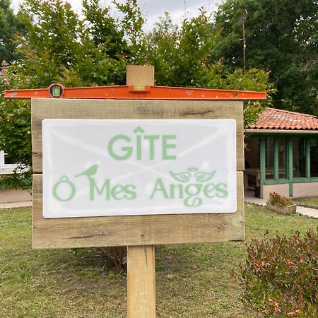 Villa 8 Personnes O Mes Anges Сен-Жульєн-ан-Борн Екстер'єр фото